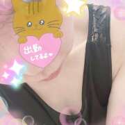 ヒメ日記 2025/03/02 15:01 投稿 らん 進撃の妻