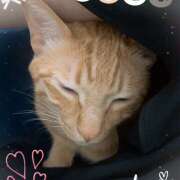 ヒメ日記 2025/05/06 12:32 投稿 らん 進撃の妻