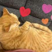 ヒメ日記 2025/12/26 09:54 投稿 らん 進撃の妻