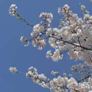 ヒメ日記 2025/04/10 13:14 投稿 みづき ありのままの所沢妻