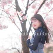 ヒメ日記 2026/04/01 17:02 投稿 るい Polaris（ポラリス）