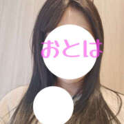 ヒメ日記 2025/03/15 09:58 投稿 おとは 奥鉄オクテツ東京店（デリヘル市場）