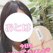 ヒメ日記 2025/04/11 07:16 投稿 おとは 奥鉄オクテツ東京店（デリヘル市場）