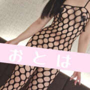 おとは 生存確認 奥鉄オクテツ東京店（デリヘル市場）