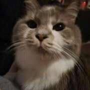 ヒメ日記 2024/12/19 07:39 投稿 みのり　男を狂わせる黒髪美女 今ドキ マットMAX