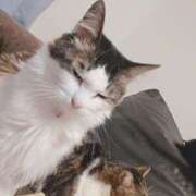 ヒメ日記 2024/12/25 08:01 投稿 みのり　男を狂わせる黒髪美女 今ドキ マットMAX