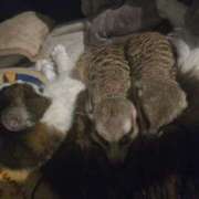 ヒメ日記 2024/12/29 01:08 投稿 みのり　男を狂わせる黒髪美女 今ドキ マットMAX