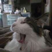 ヒメ日記 2024/12/30 09:40 投稿 みのり　男を狂わせる黒髪美女 今ドキ マットMAX