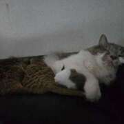 ヒメ日記 2025/01/03 09:20 投稿 みのり　男を狂わせる黒髪美女 今ドキ マットMAX