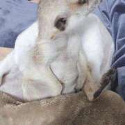 ヒメ日記 2025/02/15 09:59 投稿 みのり　男を狂わせる黒髪美女 今ドキ マットMAX