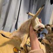 ヒメ日記 2025/02/26 08:16 投稿 みのり　男を狂わせる黒髪美女 今ドキ マットMAX