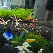 ヒメ日記 2025/03/17 08:54 投稿 みのり　男を狂わせる黒髪美女 今ドキ マットMAX