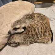 ヒメ日記 2025/03/31 05:32 投稿 みのり　男を狂わせる黒髪美女 今ドキ マットMAX