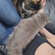 ヒメ日記 2025/04/05 10:04 投稿 みのり　男を狂わせる黒髪美女 今ドキ マットMAX