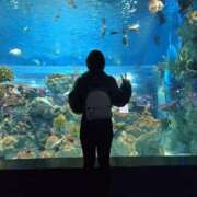 ヒメ日記 2025/04/08 06:48 投稿 みのり　男を狂わせる黒髪美女 今ドキ マットMAX