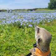 ヒメ日記 2025/04/15 06:17 投稿 みのり　男を狂わせる黒髪美女 今ドキ マットMAX