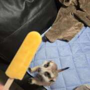 ヒメ日記 2025/05/02 08:32 投稿 みのり　男を狂わせる黒髪美女 今ドキ マットMAX