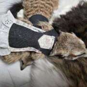 ヒメ日記 2025/05/11 10:48 投稿 みのり　男を狂わせる黒髪美女 今ドキ マットMAX