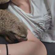 ヒメ日記 2025/05/15 06:19 投稿 みのり　男を狂わせる黒髪美女 今ドキ マットMAX