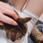 ヒメ日記 2025/06/05 07:20 投稿 みのり 男を狂わせる黒髪美女 今ドキ マットMAX