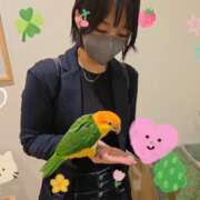 ヒメ日記 2025/06/18 06:47 投稿 みのり　男を狂わせる黒髪美女 今ドキ マットMAX