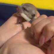 ヒメ日記 2025/06/24 06:45 投稿 みのり　男を狂わせる黒髪美女 今ドキ マットMAX