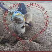 ヒメ日記 2025/06/24 07:20 投稿 みのり　男を狂わせる黒髪美女 今ドキ マットMAX