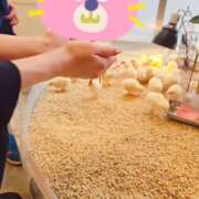 ヒメ日記 2025/07/24 19:22 投稿 みのり　男を狂わせる黒髪美女 今ドキ マットMAX