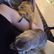 ヒメ日記 2025/07/27 18:33 投稿 みのり　男を狂わせる黒髪美女 今ドキ マットMAX