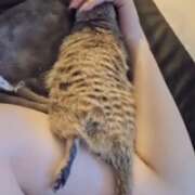 ヒメ日記 2025/07/28 17:32 投稿 みのり　男を狂わせる黒髪美女 今ドキ マットMAX