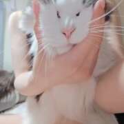 ヒメ日記 2025/07/29 16:33 投稿 みのり　男を狂わせる黒髪美女 今ドキ マットMAX