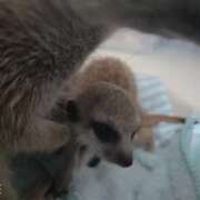 ヒメ日記 2025/07/29 21:14 投稿 みのり　男を狂わせる黒髪美女 今ドキ マットMAX