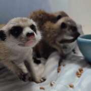 ヒメ日記 2025/07/30 10:05 投稿 みのり　男を狂わせる黒髪美女 今ドキ マットMAX