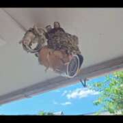 ヒメ日記 2025/07/30 17:33 投稿 みのり　男を狂わせる黒髪美女 今ドキ マットMAX