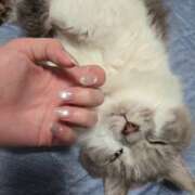 ヒメ日記 2025/07/31 10:35 投稿 みのり　男を狂わせる黒髪美女 今ドキ マットMAX