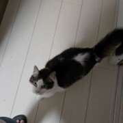 ヒメ日記 2025/08/04 16:31 投稿 みのり 男を狂わせる黒髪美女 今ドキ マットMAX