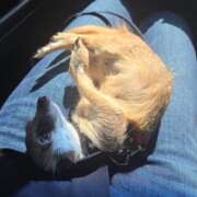 ヒメ日記 2025/08/06 20:30 投稿 みのり 男を狂わせる黒髪美女 今ドキ マットMAX