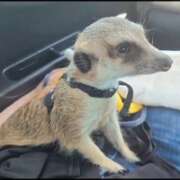 ヒメ日記 2025/08/07 19:18 投稿 みのり　男を狂わせる黒髪美女 今ドキ マットMAX