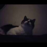 ヒメ日記 2025/08/08 21:20 投稿 みのり　男を狂わせる黒髪美女 今ドキ マットMAX