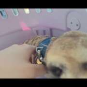 ヒメ日記 2025/08/09 11:25 投稿 みのり　男を狂わせる黒髪美女 今ドキ マットMAX