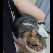 ヒメ日記 2025/08/12 23:17 投稿 みのり　男を狂わせる黒髪美女 今ドキ マットMAX