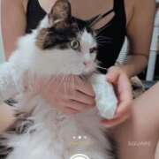 ヒメ日記 2025/08/15 23:49 投稿 みのり　男を狂わせる黒髪美女 今ドキ マットMAX