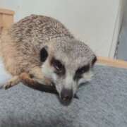 ヒメ日記 2025/08/16 21:48 投稿 みのり　男を狂わせる黒髪美女 今ドキ マットMAX