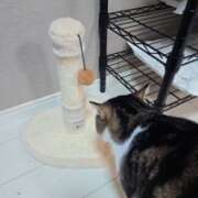 ヒメ日記 2025/08/17 20:19 投稿 みのり　男を狂わせる黒髪美女 今ドキ マットMAX