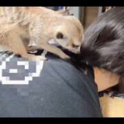 ヒメ日記 2025/08/22 07:01 投稿 みのり　男を狂わせる黒髪美女 今ドキ マットMAX