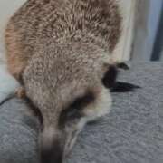 ヒメ日記 2025/08/23 13:58 投稿 みのり　男を狂わせる黒髪美女 今ドキ マットMAX