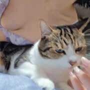 ヒメ日記 2025/08/24 18:09 投稿 みのり　男を狂わせる黒髪美女 今ドキ マットMAX