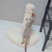 ヒメ日記 2025/08/29 16:32 投稿 みのり　男を狂わせる黒髪美女 今ドキ マットMAX