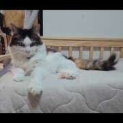 ヒメ日記 2025/08/31 15:30 投稿 みのり　男を狂わせる黒髪美女 今ドキ マットMAX