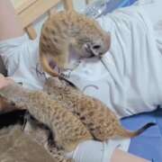 ヒメ日記 2025/08/31 21:55 投稿 みのり　男を狂わせる黒髪美女 今ドキ マットMAX